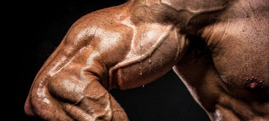 Creatina: suplemento que impulsiona energia rápida, força e recuperação muscular - Imagem do artigo